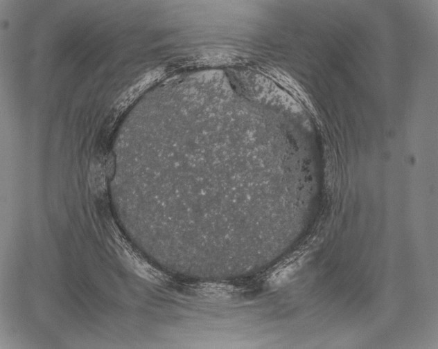 X0000067870393200604201223