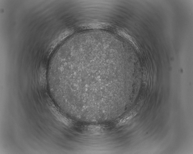 X0000067870394200604201223