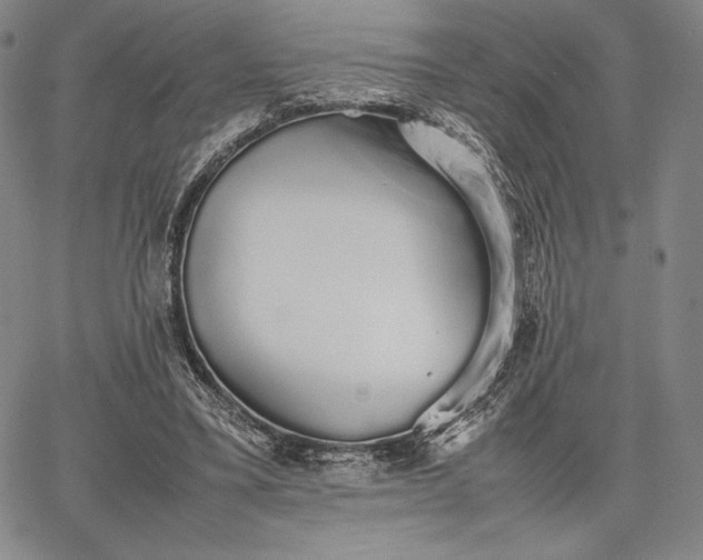 X0000067870395200604201223