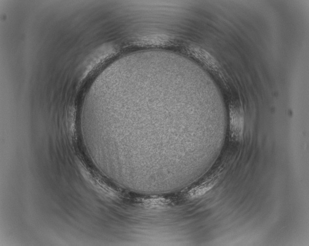 X0000067870396200604201223