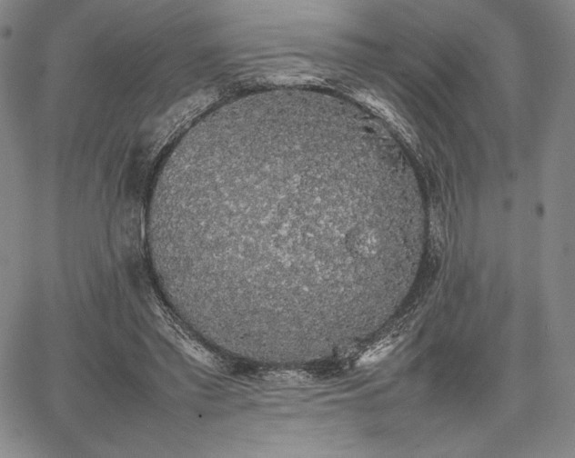 X0000067870397200604201223