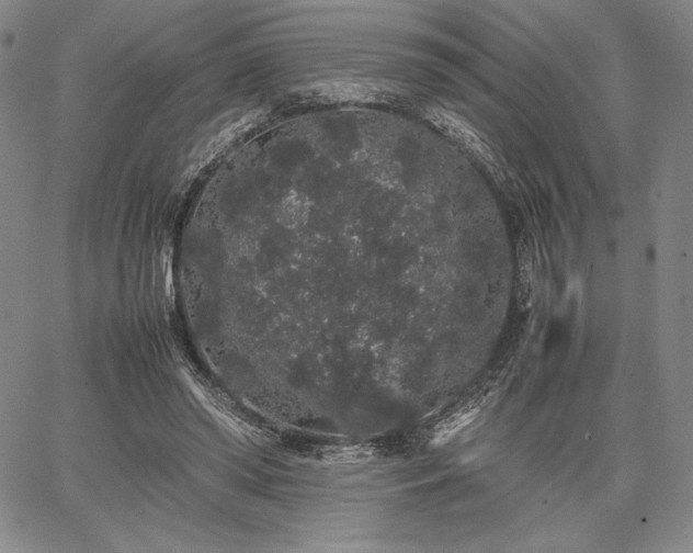 X0000067870398200604201223