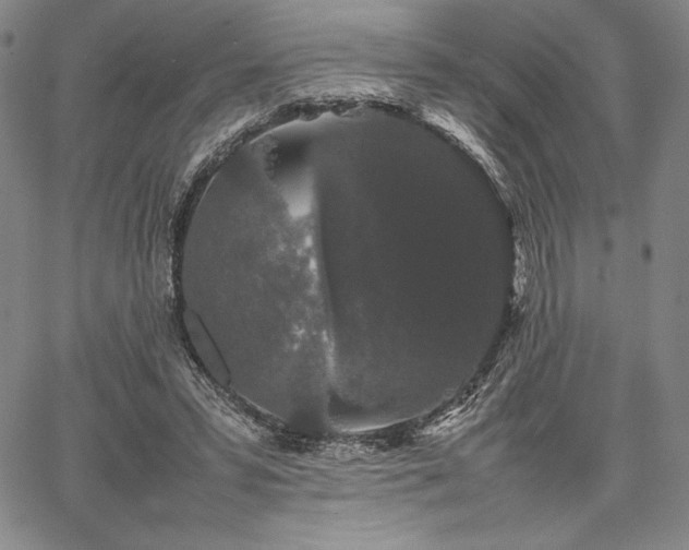 X0000067870399200604201223