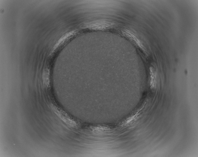 X0000067870400200604201223