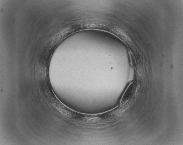 X0000067870401200604201223