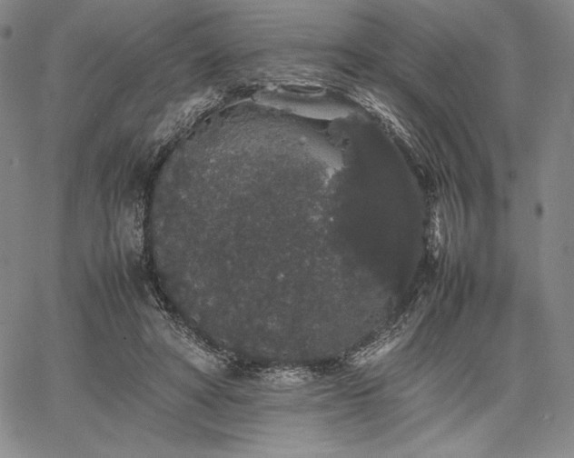 X0000067870402200604201223