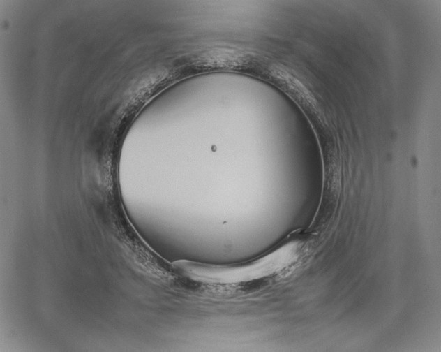 X0000067870403200604201223