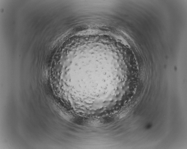 X0000067870405200604201223