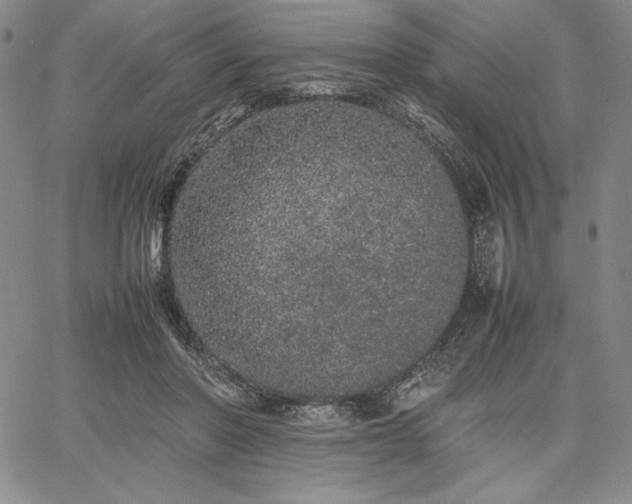 X0000067870406200604201223