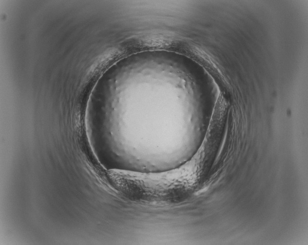 X0000067870407200604201223