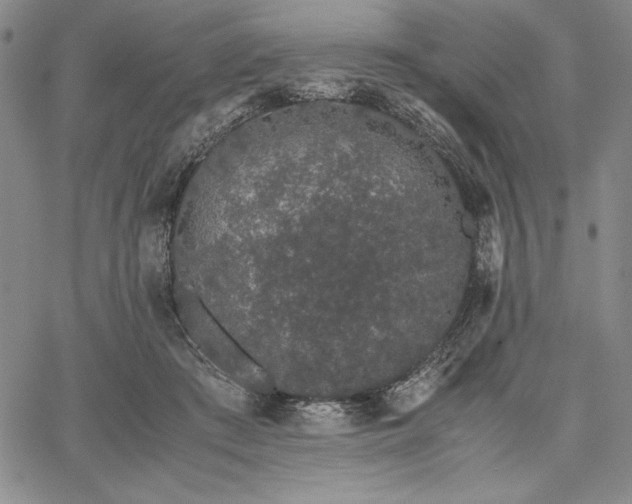 X0000067870409200604201223