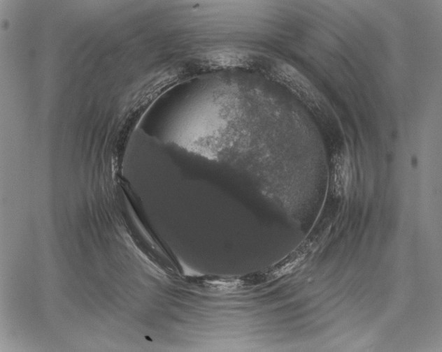 X0000067870410200604201223