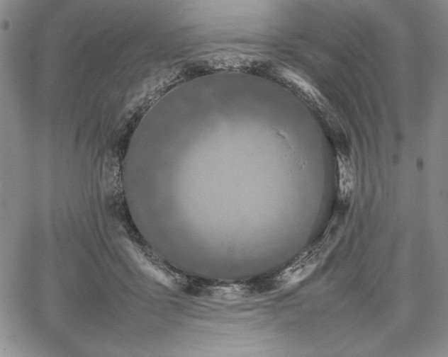 X0000067870411200604201223