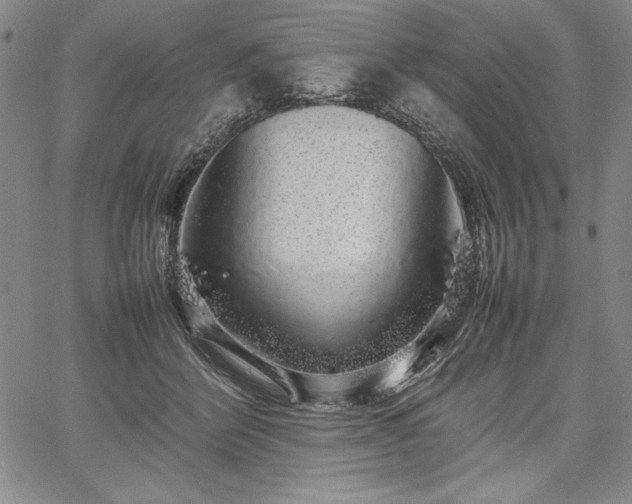 X0000067870412200604201223