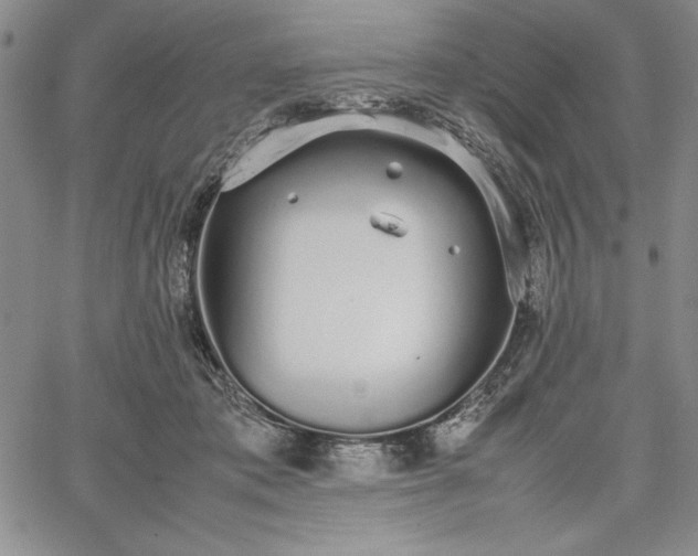 X0000067870413200604201223