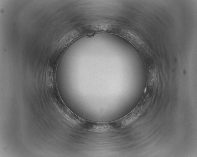 X0000067870414200604201223