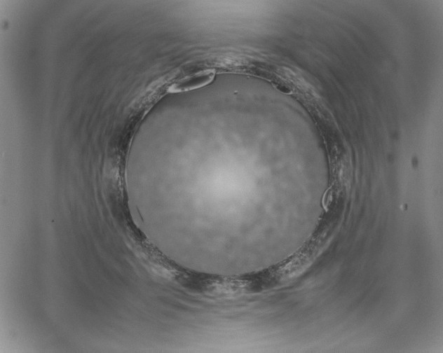 X0000067870415200604201223