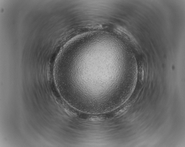 X0000067870416200604201223