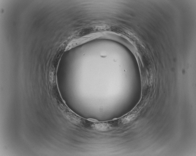 X0000067870417200604201223