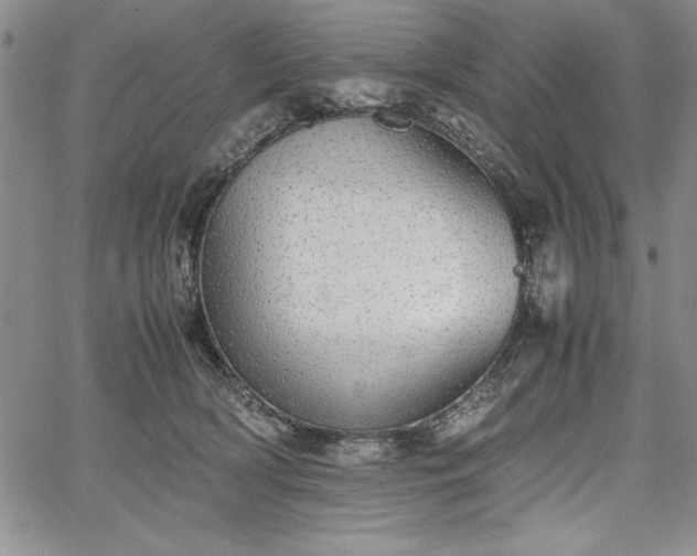 X0000067870418200604201223