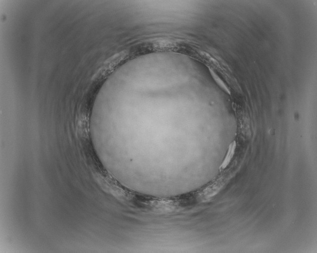 X0000067870419200604201223