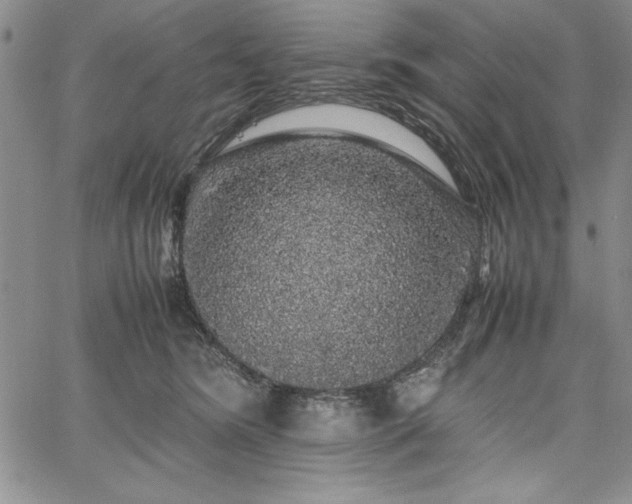 X0000067870420200604201223