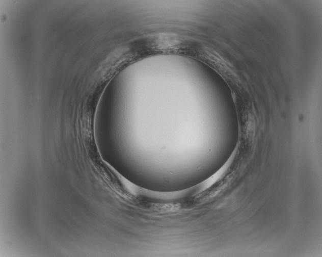 X0000067870421200604201223