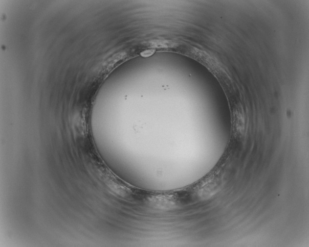 X0000067870422200604201223