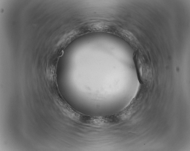 X0000067870423200604201223