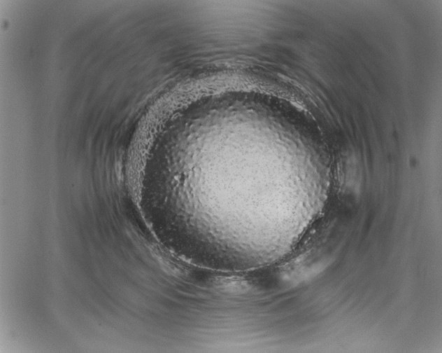 X0000067870424200604201223