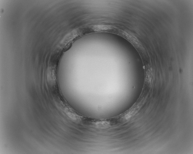 X0000067870426200604201223