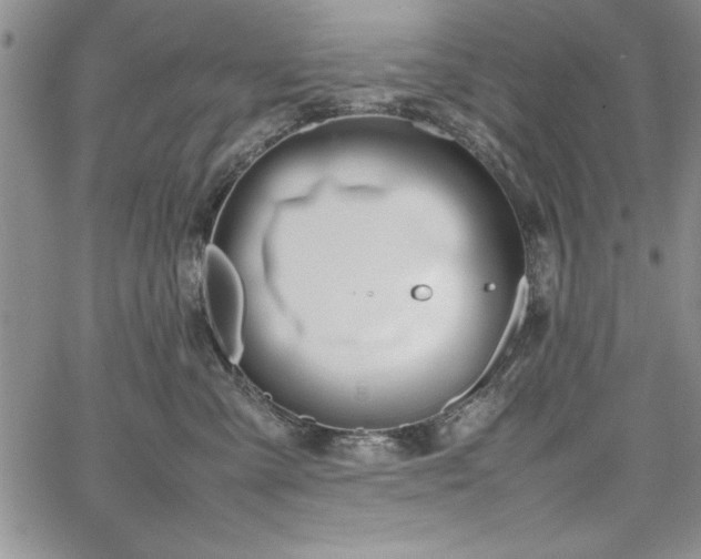 X0000067870427200604201223