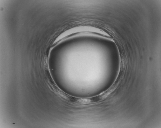 X0000067870429200604201223