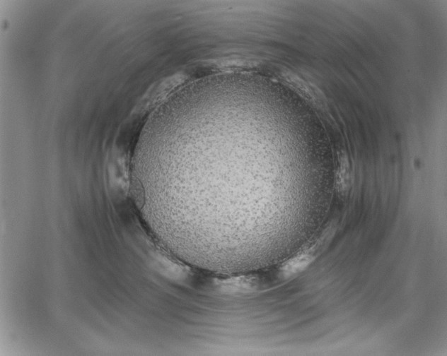 X0000067870430200604201223