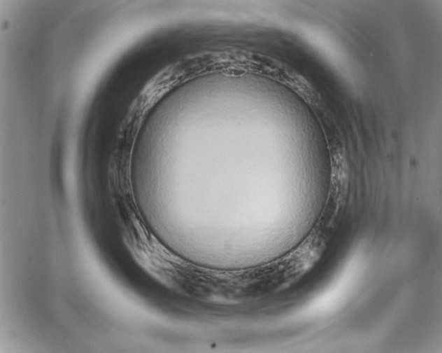 X0000067870431200604201223