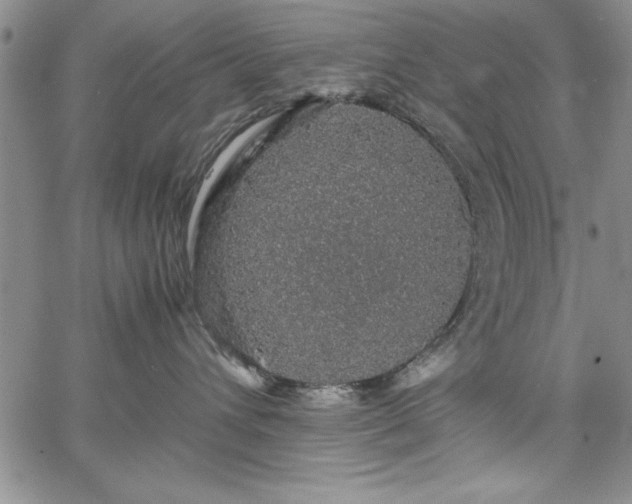 X0000067870432200604201223