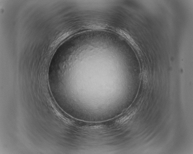 X0000067870433200604201222