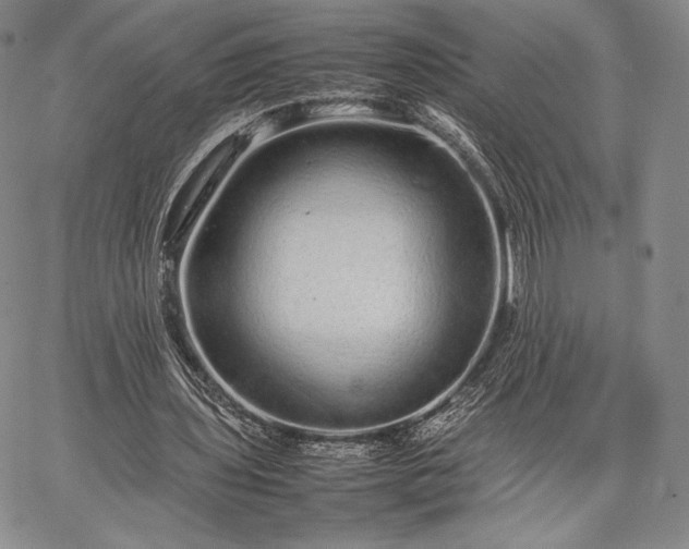 X0000067870435200604201222