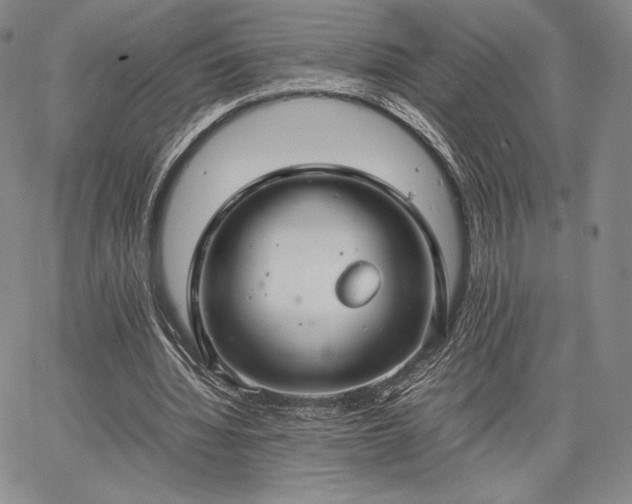 X0000067870436200604201222