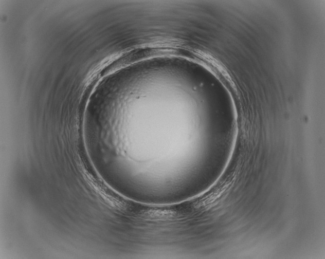 X0000067870437200604201222