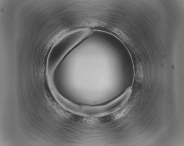 X0000067870440200604201222