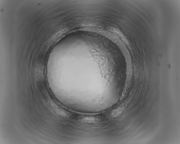 X0000067870441200604201222