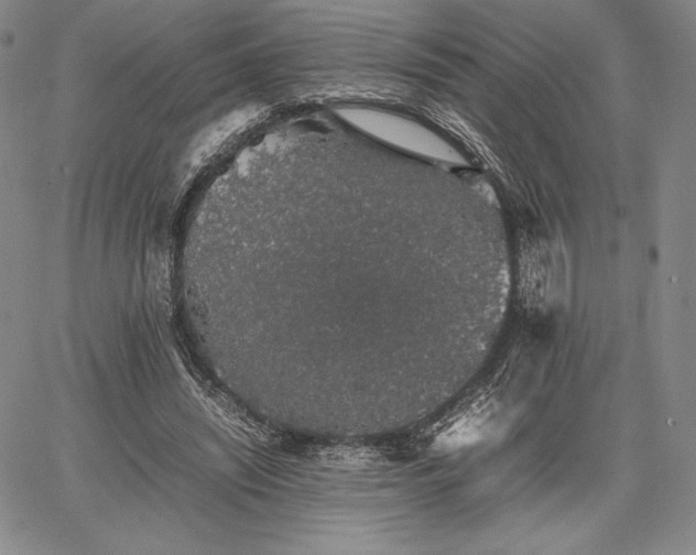 X0000067870444200604201222