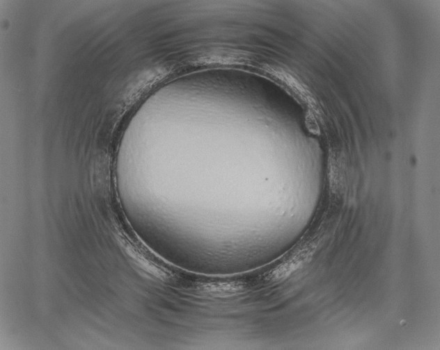 X0000067870445200604201222