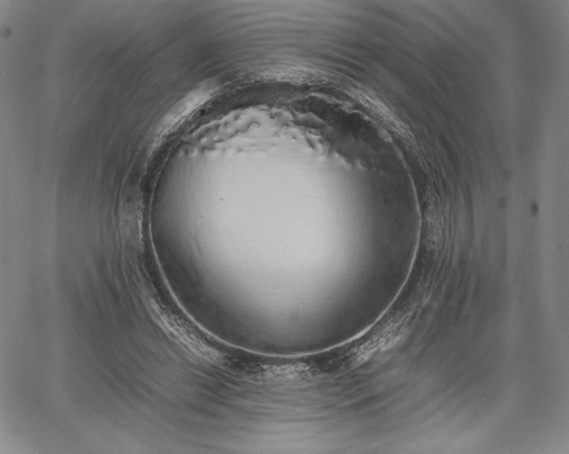 X0000067870446200604201222