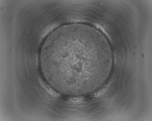 X0000067870447200604201222