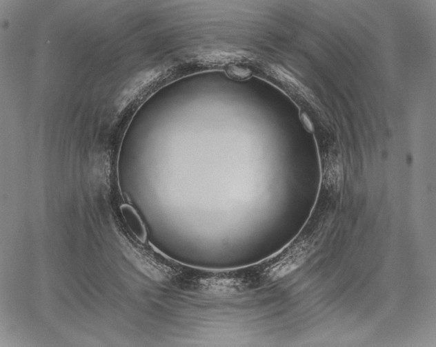 X0000067870448200604201222