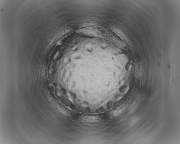 X0000067870449200604201222