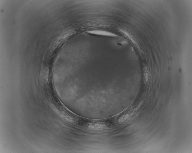 X0000067870451200604201222