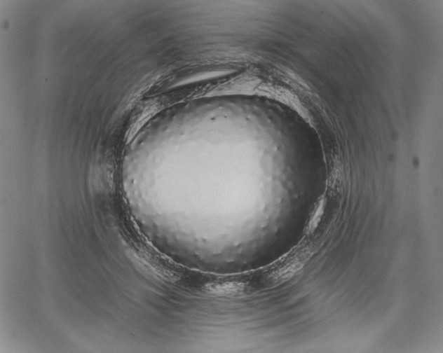 X0000067870452200604201222